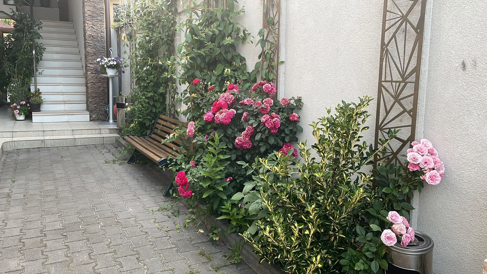 ANCA MED